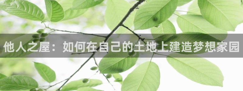 威九国际78app：他人之屋：如何在自己的土地上建造梦想家园