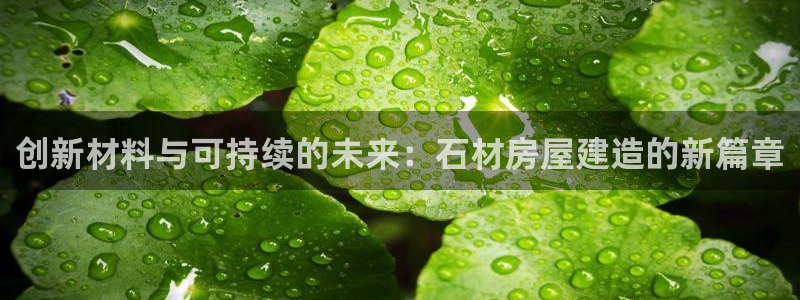 威九国际游戏app网址：创新材料与可持续的未来：石材房屋建造的新篇章