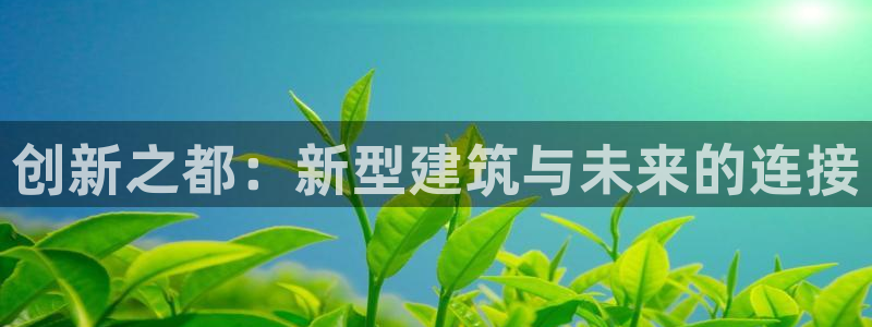 威九国际软件公司简介