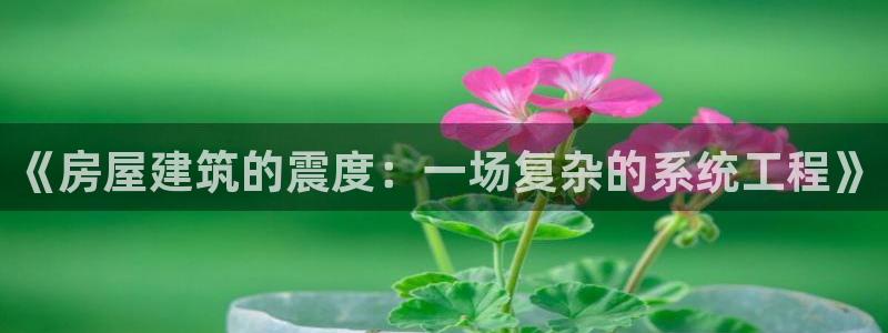 威九国际78mob网页：《房屋建筑的震度：一场复杂的系统工程》