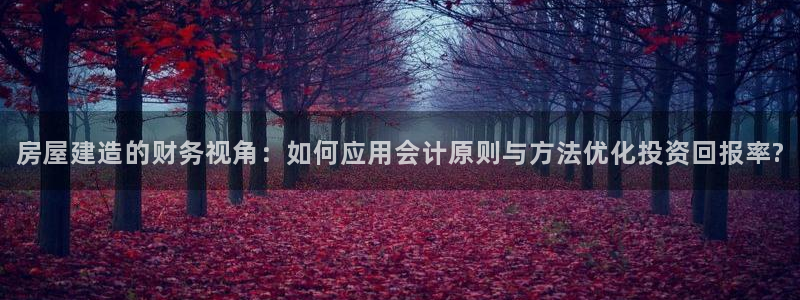 威九国际免费ppt网址：房屋建造的财务视角：如何应用会计原则与方法优化投资回报率?