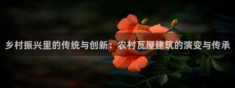 威九国际66：乡村振兴里的传统与创新：农村瓦屋建筑的演变与传承