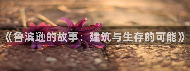 威九国际66m入口：《鲁滨逊的故事：建筑与生存的可能》