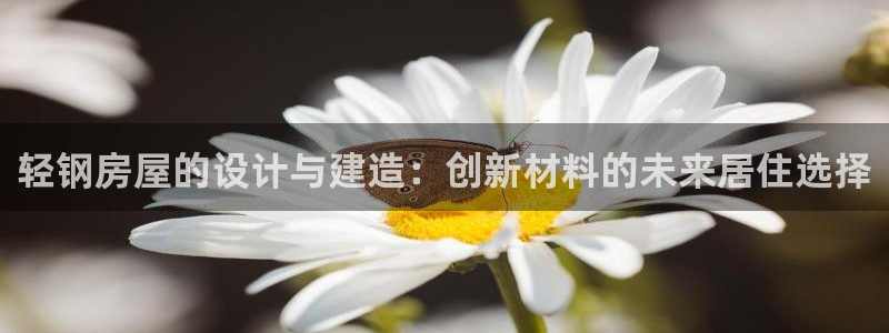 威九国际惠子：轻钢房屋的设计与建造：创新材料的未来居住选择