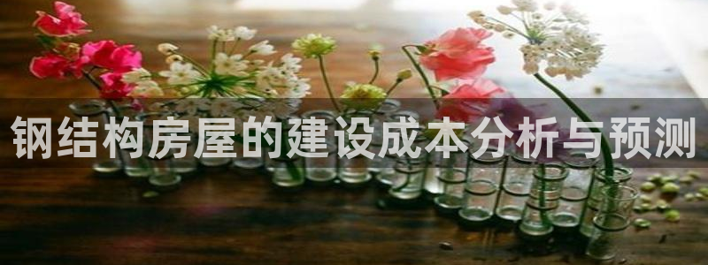 威九国际app大全下载安装：钢结构房屋的建设成本分析与预测