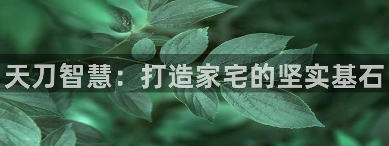 威九国际成长模式怎么样：天刀智慧：打造家宅的坚实基石