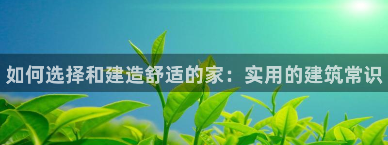 威九国际APP那个地方：如何选择和建造舒适的家：实用的建筑常识