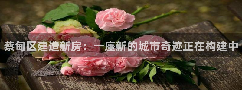 威九国际能提现吗安全吗：蔡甸区建造新房：一座新的城市奇迹正在构建中