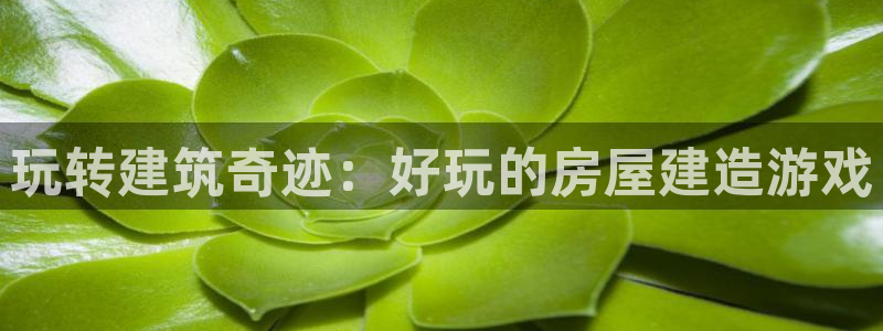 威九国际网站进入AB,AB：玩转建筑奇迹：好玩的房屋建造游戏