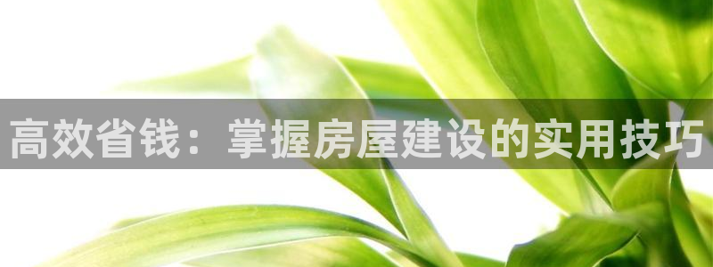 威九国际女主名字：高效省钱：掌握房屋建设的实用技巧