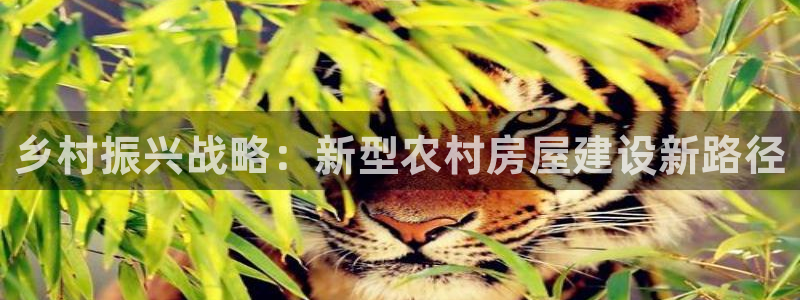 威九国际app客服电话号码：乡村振兴战略：新型农村房屋建设新路径
