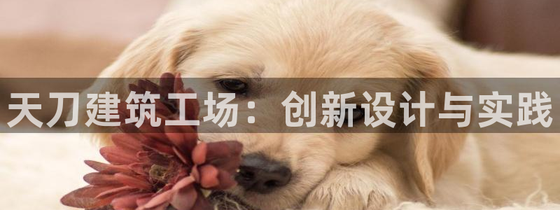 威九国际网页看视频弹窗的广告拦截插件：天刀建筑工场：创新设计与实践