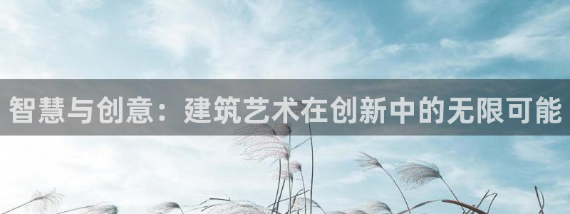 威九国际ppt免费吗