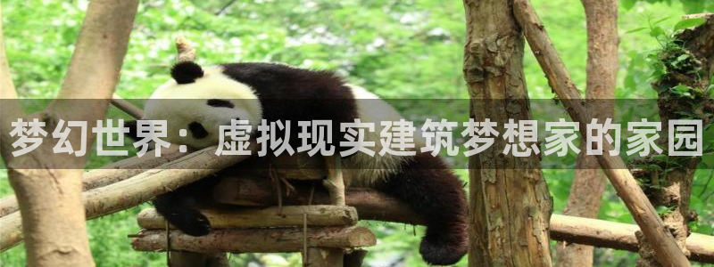 威九国际网站客服电话多少啊：梦幻世界：虚拟现实建筑梦想家的家园