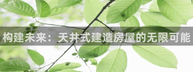 威九国际66m66成长模式：构建未来：天井式建造房屋的无限可能