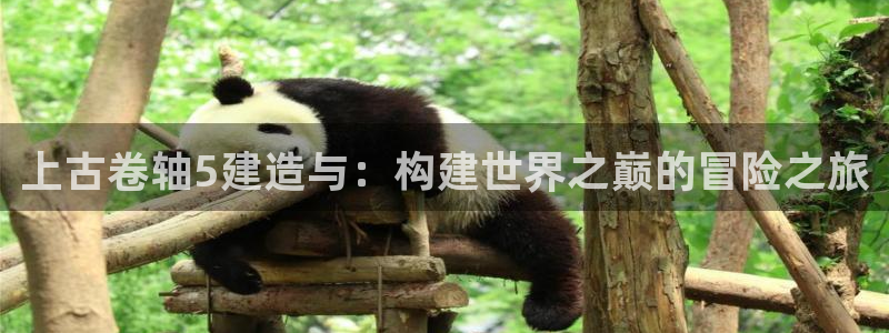 威九国际网站登录：上古卷轴5建造与：构建世界之巅的冒险之旅