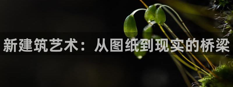 威九国际的演员：新建筑艺术：从图纸到现实的桥梁