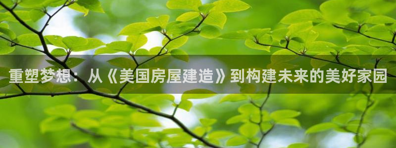 威九国际：重塑梦想：从《美国房屋建造》到构建未来的美好家园