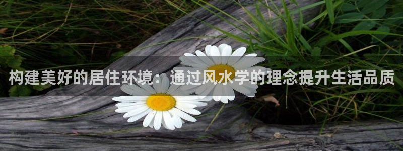 威九国际app客服电话多少：构建美好的居住环境：通过风水学的理念提升生活品质