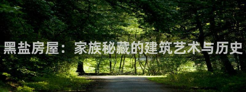 威九国际合作伙伴有哪些：黑盐房屋：家族秘藏的建筑艺术与历史