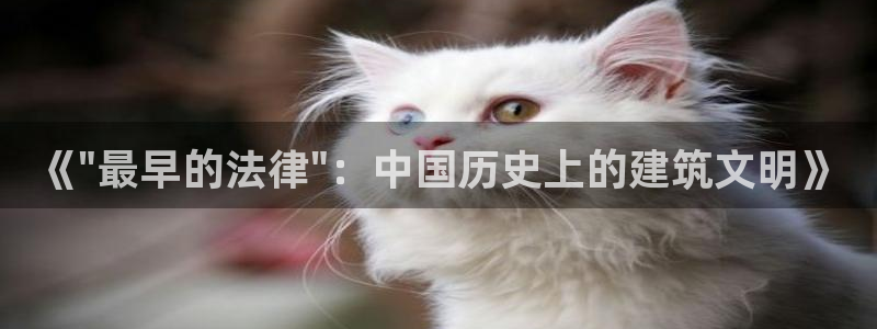 威九国际官网登录入口下载：《\