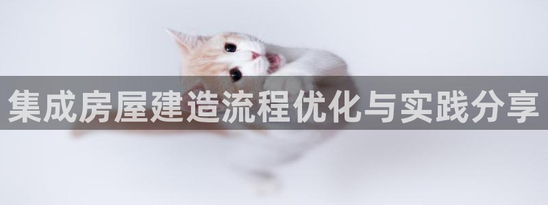威九国际在线平台怎么样啊：集成房屋建造流程优化与实践分享