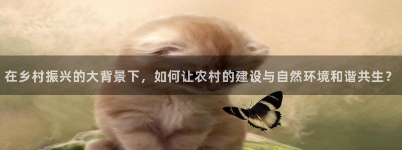 威九国际电视怎么样：在乡村振兴的大背景下，如何让农村的建设与自然环境和谐共生？