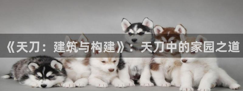 威九国际网站安全吗可靠吗：《天刀：建筑与构建》：天刀中的家园之道