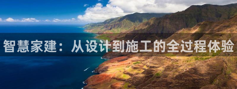 威九国际AN：智慧家建：从设计到施工的全过程体验