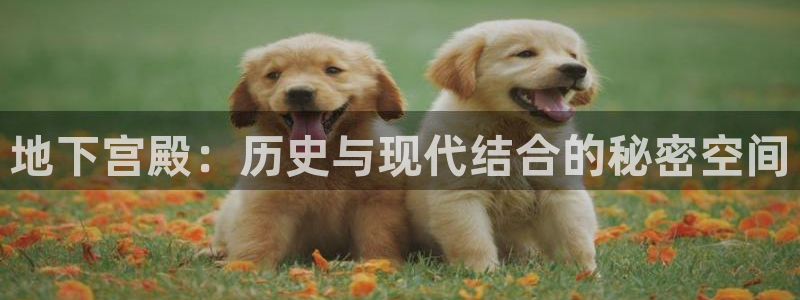 威九国际78m九妹：地下宫殿：历史与现代结合的秘密空间