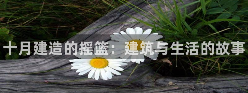 威九国际官方下载：十月建造的摇篮：建筑与生活的故事