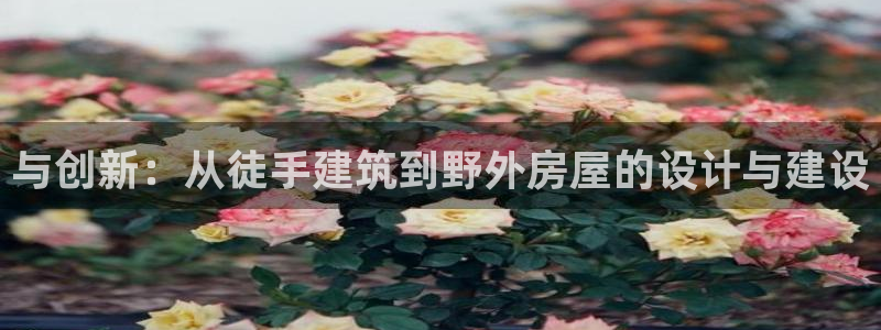 威九国际78mob网页：与创新：从徒手建筑到野外房屋的设计与建设