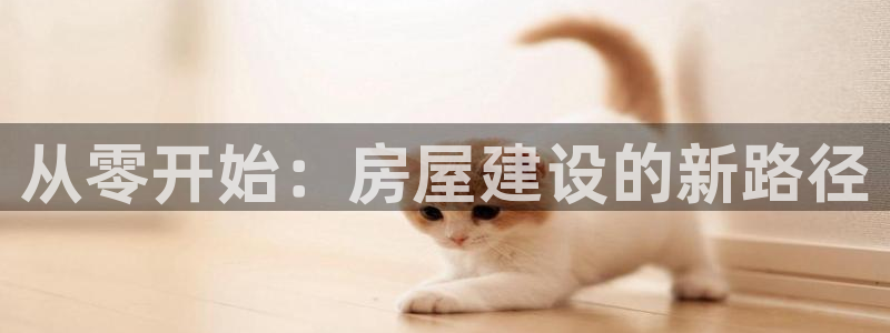 威九国际app网站：从零开始：房屋建设的新路径