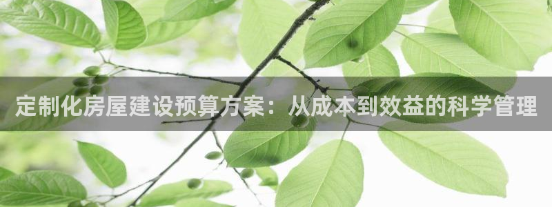 威九国际客服电话号码：定制化房屋建设预算方案：从成本到效益的科学管理
