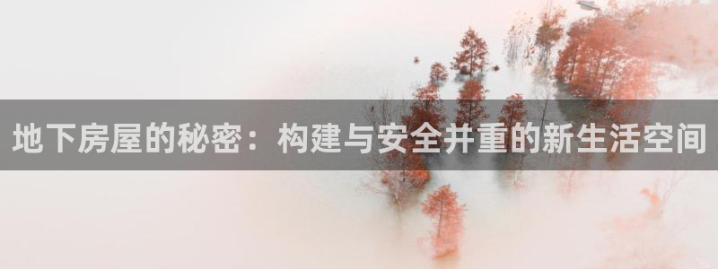 威九国际app入口官网：地下房屋的秘密：构建与安全并重的新生活空间