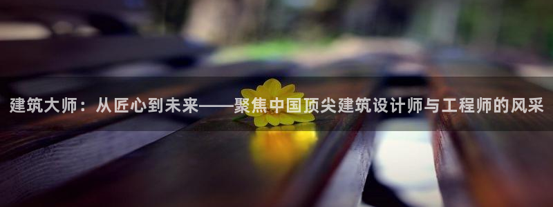 威九国际电子游戏：建筑大师：从匠心到未来——聚焦中国顶尖建筑设计师与工程师的风采