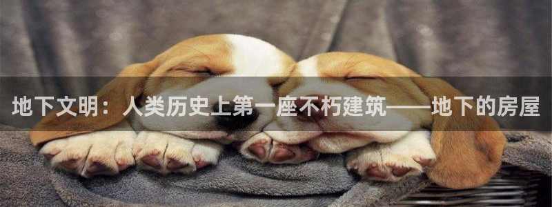 威九国际78mb42- MBA中文：地下文明：人类历史上第一座不朽建筑——地下的房屋