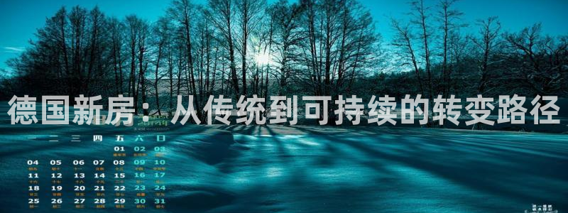 威九国际h5：德国新房：从传统到可持续的转变路径