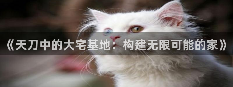 威九国际78mob游戏特色：《天刀中的大宅基地：构建无限可能的家》