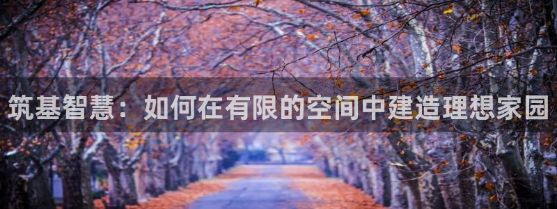 威九国际电子有限公司：筑基智慧：如何在有限的空间中建造理想家园