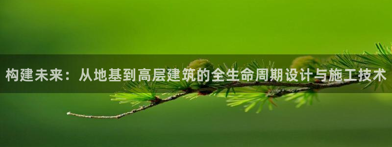 威九国际入口一：构建未来：从地基到高层建筑的全生命周期设计与施工技术