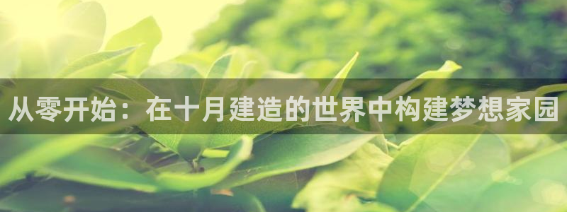 威九国际旗下艺人：从零开始：在十月建造的世界中构建梦想家园
