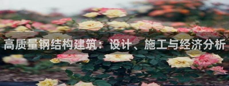 威九国际m78：高质量钢结构建筑：设计、施工与经济分析