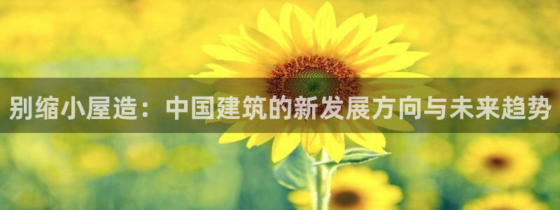 威九国际66m-66：别缩小屋造：中国建筑的新发展方向与未来趋势