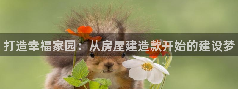 威九国际精修! #手机使用技巧：打造幸福家园：从房屋建造款开始的建设梦