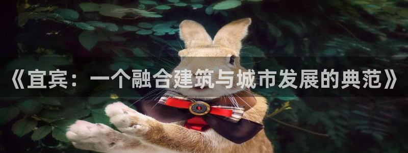 威九国际ppt免费：《宜宾：一个融合建筑与城市发展的典范》
