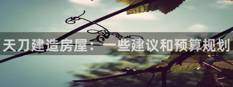 威九国际观看：天刀建造房屋：一些建议和预算规划