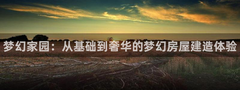 78mapp威九国际网页版：梦幻家园：从基础到奢华的梦幻房屋建造体验