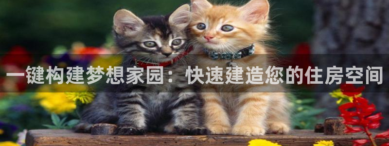 威九国际成长模式怎么样