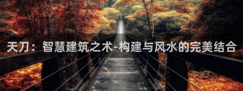 威九国际78mB官网版：天刀：智慧建筑之术-构建与风水的完美结合